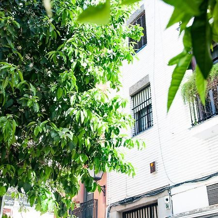 AlohaMundi Cruz Verde Sevilla Bagian luar foto