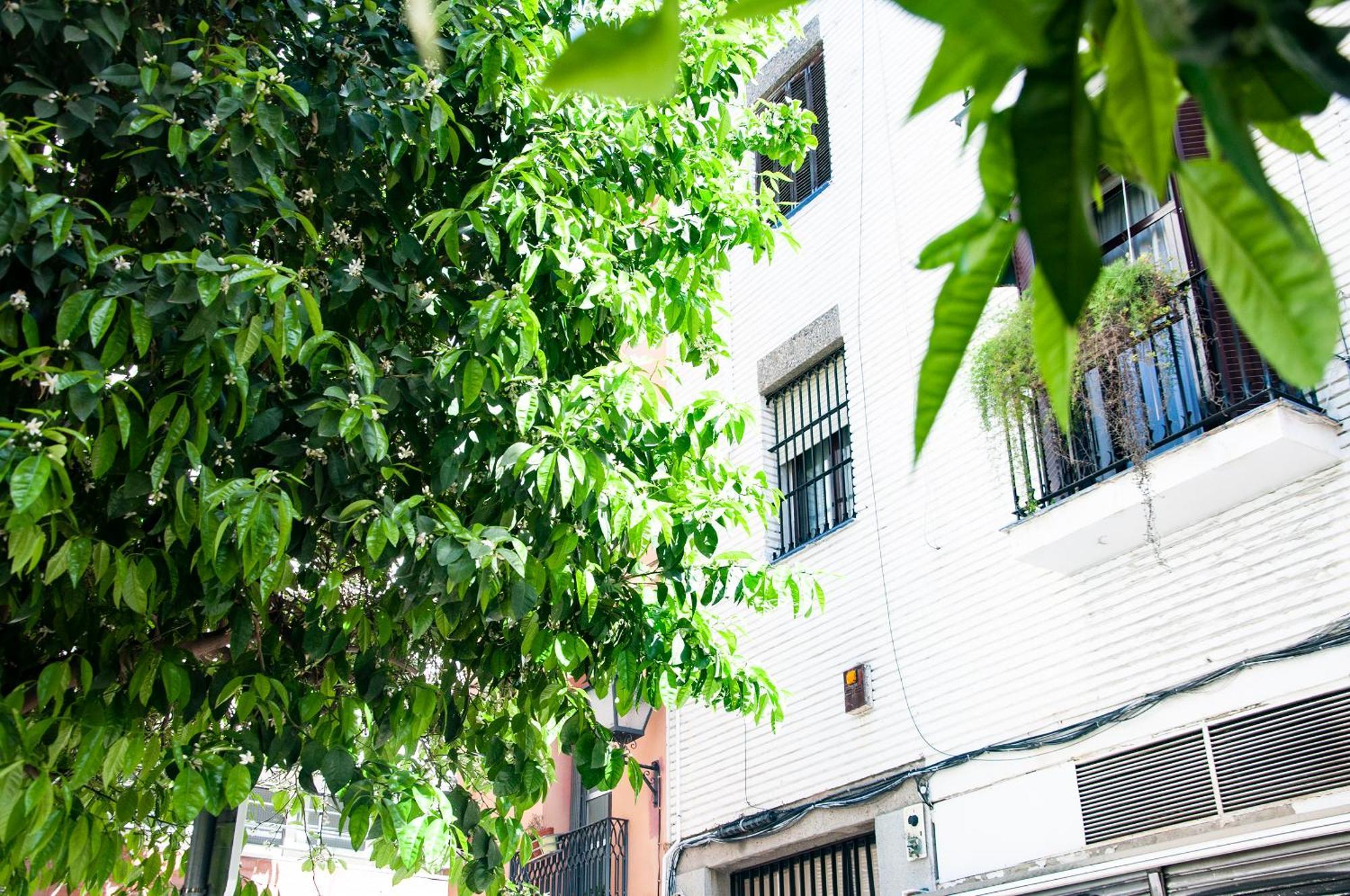 AlohaMundi Cruz Verde Sevilla Bagian luar foto